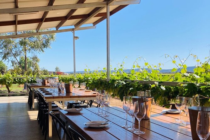 Cheese + Chill - A slow start at Yarran Cellar Door