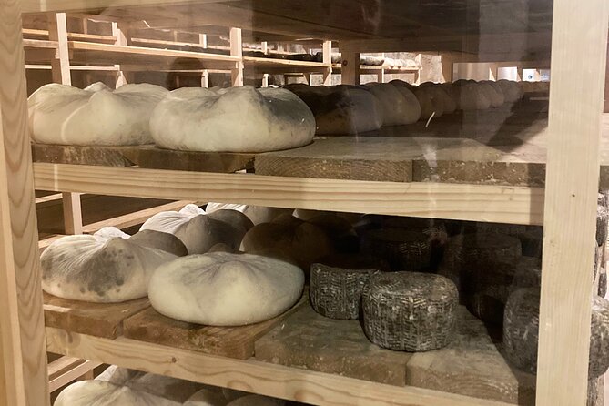 Cheese Factory Workshop with Wine Tasting in Requena, Valencia - Why this cheese and wine day works well from Valencia