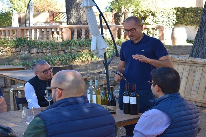 Cheese Factory Workshop with Wine Tasting in Requena, Valencia - What the eight-cheese tasting means for your palate
