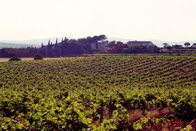 Cheese Factory Workshop with Wine Tasting in Requena, Valencia - From the cheese factory to Vera de Estenas Winery