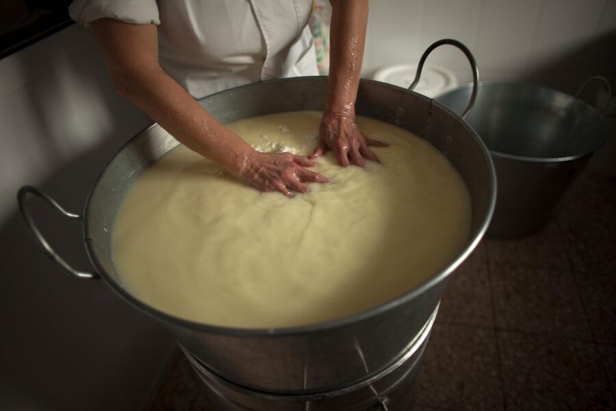 Cheese Making and Tasting Tour from Cagliari with Lunch - Why the cheese making is the heart of the day