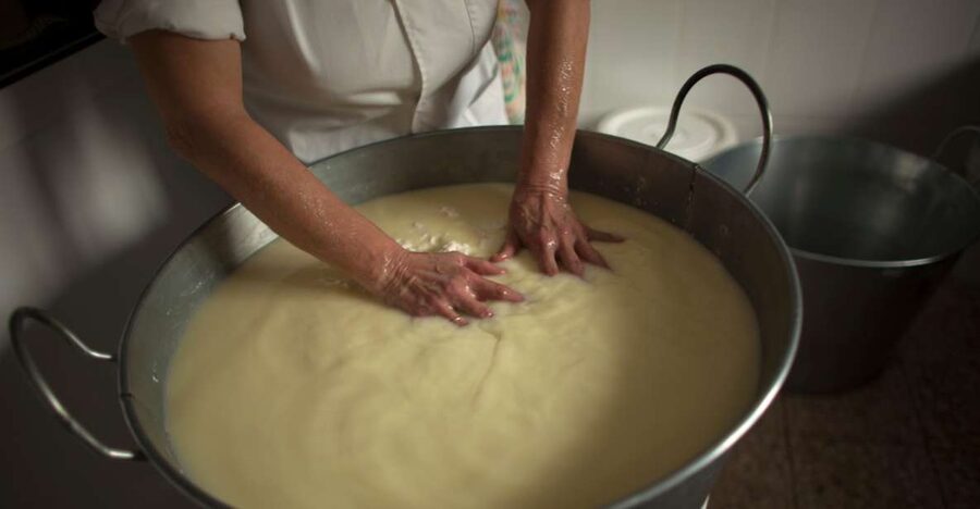 Cheese Making and Tasting Tour from Cagliari with Lunch - Who will enjoy this outing most