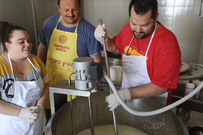 Cheese & ricotta making – Teramo (Abruzzo) Italy - The farm animals while the ricotta comes together