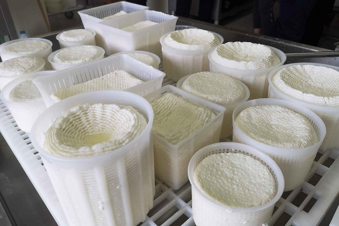 Cheese & ricotta making – Teramo (Abruzzo) Italy - Warm ricotta, olive oil, and an Abruzzo-style table