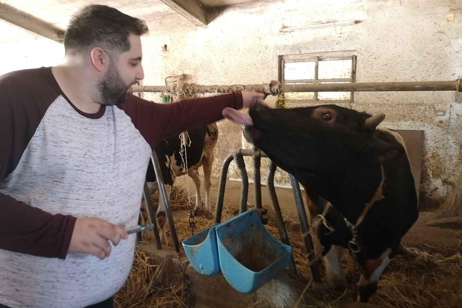 Cheese & ricotta making – Teramo (Abruzzo) Italy - What the $289.20 price really covers