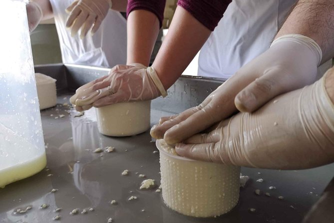 Cheese & ricotta making – Teramo (Abruzzo) Italy - Who will enjoy this best