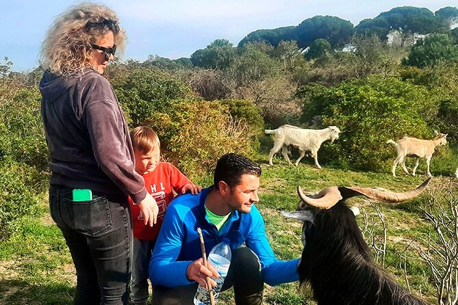 Cheese Walk & Atelier with a Goat Shepherd in Aoleão - Walking with Nix and the goats