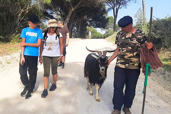Cheese Walk & Atelier with a Goat Shepherd in Aoleão - The regional picnic