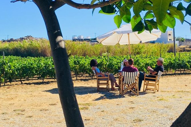 Cheese & Wine Trails - Naxos - Why the guide matters on this particular outing