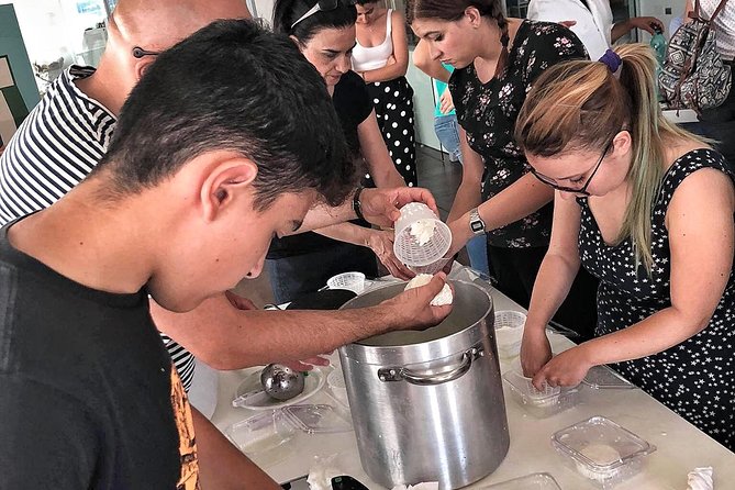 Cheesemaker for a day & visit to the dairy - Key points at a glance