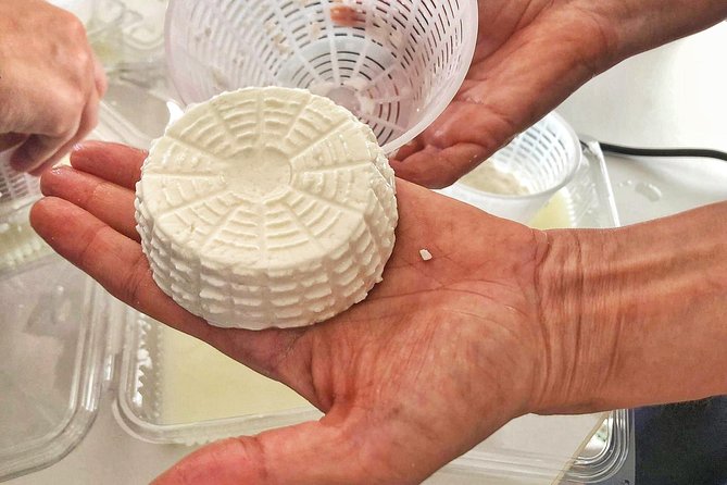 Cheesemaker for a day & visit to the dairy - Aging rooms, preparation, and the final product