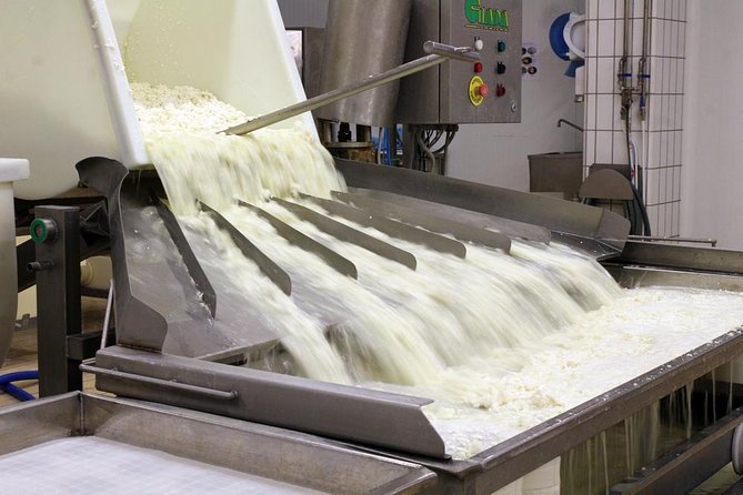 Cheesemaker for a day & visit to the dairy - From milk testing to the first curd