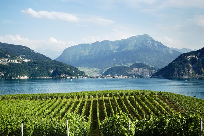 Chocolate, Cheese and Wine Tour in Luzern region - Towns and natural sights add breathing room
