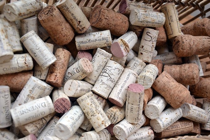 Clotilde Davenne wine and cheese pairing tasting in Chablis - Who should book this experience?