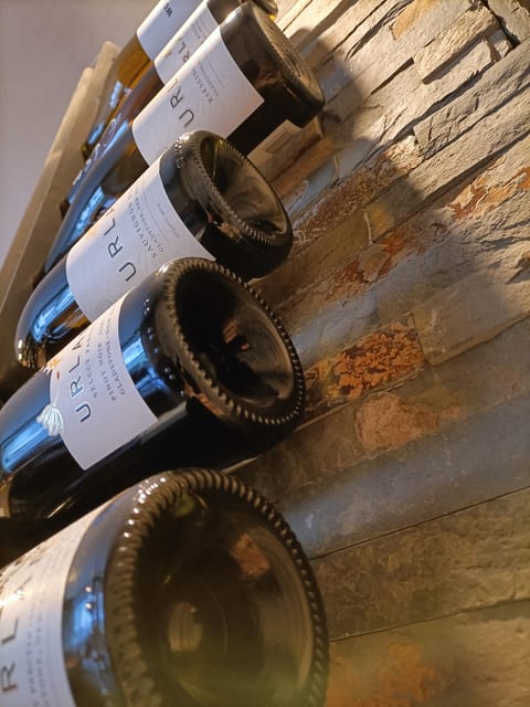 Como: Wine Tasting Experience with Cheese and Cold Cuts - The Strongest Reasons to Book