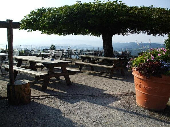 Culinary Tour from Zurich with Traditional Swiss Cheese Fondue Dinner - Key details before you book