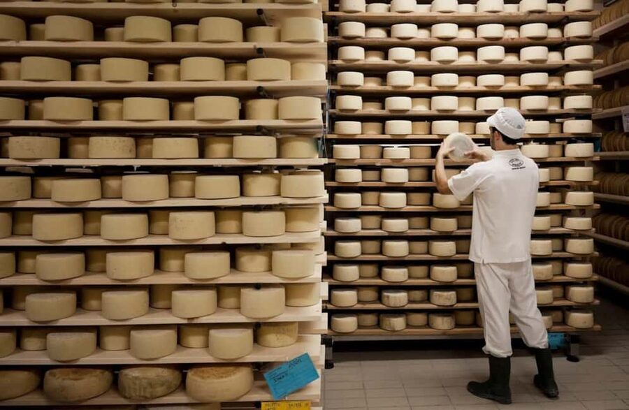 Dairy Tour with Cheese Tasting & Prosecco near Treviso - Why the family background matters