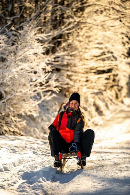 Day/Night Sledding + ALL-YOU-CAN-EAT Cheese&Chocolate Fondue - Key points to know before booking