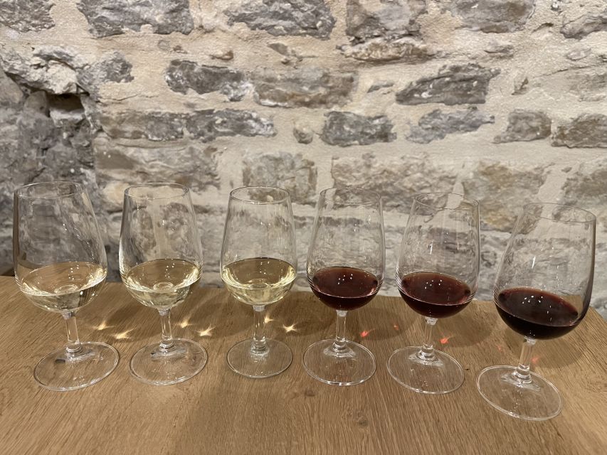 Dijon: Cheese and Burgundy Wine Tasting Workshop - The cheese pairings are the main lesson