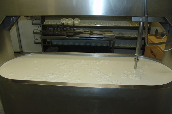 Discover the Art of Idiazabal Cheese in the Basque Country - Why Idiazabal cheese is worth a morning in the hills