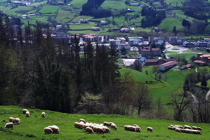 Discover the Art of Idiazabal Cheese in the Basque Country - The guide makes a difference