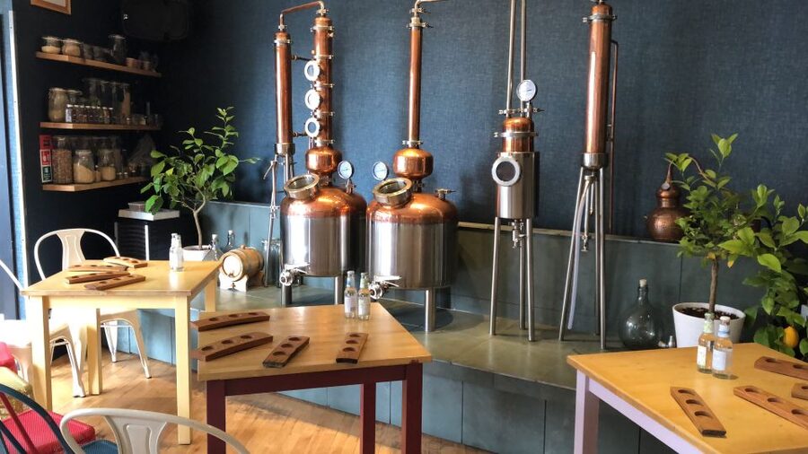 Distillery Masterclass - 8 Scottish gins paired with cheeses - Eight Scottish gins in one sitting