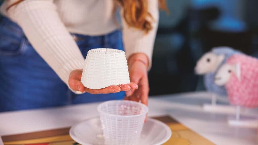 Dolianova: visit and workshop in a cheese factory - The hands-on workshop is the real payoff
