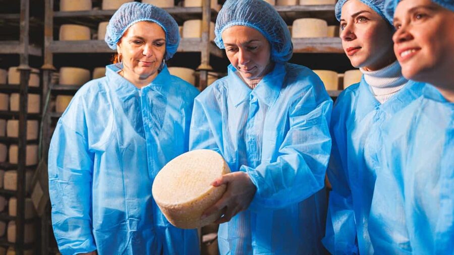 Dolianova: visit and workshop in a cheese factory - Tasting three or four cheeses with Sardinian wine