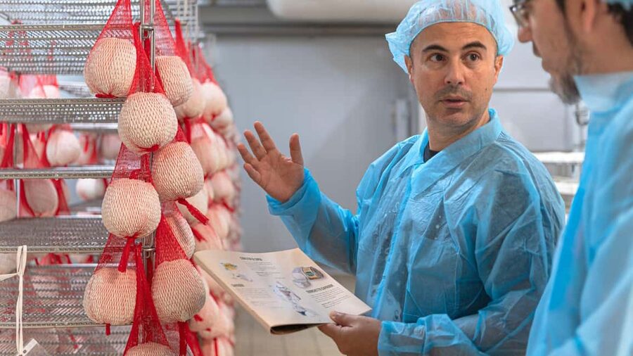 Dolianova: visit and workshop in a cheese factory - Is $84 a fair price?