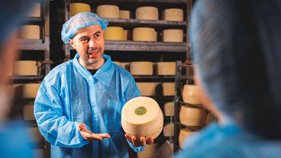 Dolianova: visit and workshop in a cheese factory - Timing, meeting point, and practical planning