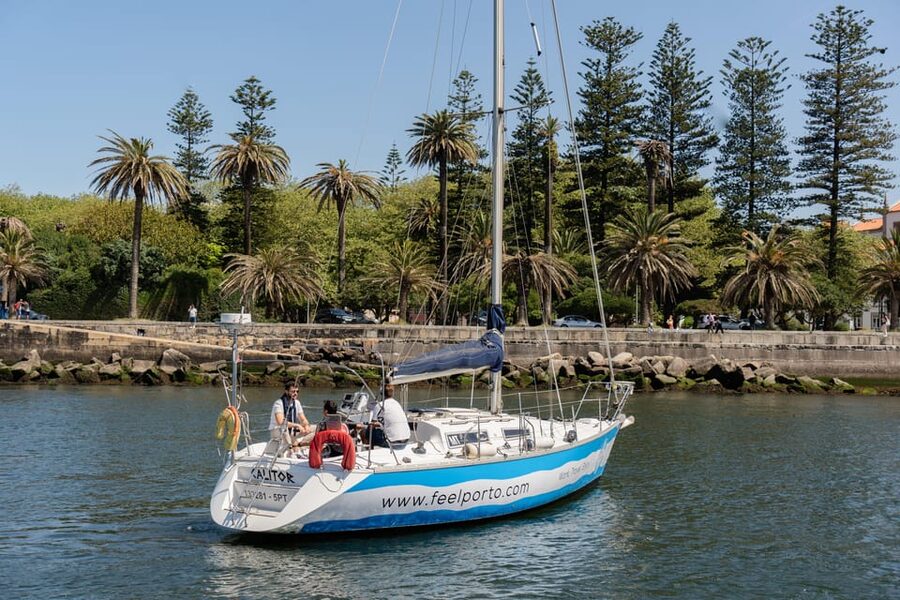 Douro River Cruise with Cheese & Tonic Porto in a Sailboat - Under Dom Luís I Bridge
