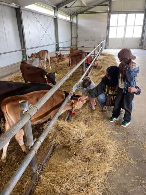 Dutch Countryside: , windmills, Villages, Cheese & Clogs - Moses as your guide