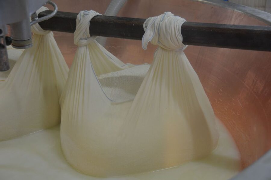 Emila-Romagna: Parmigiano, Prosciutto, Wine & Balsamic Tour - Should You Book It?