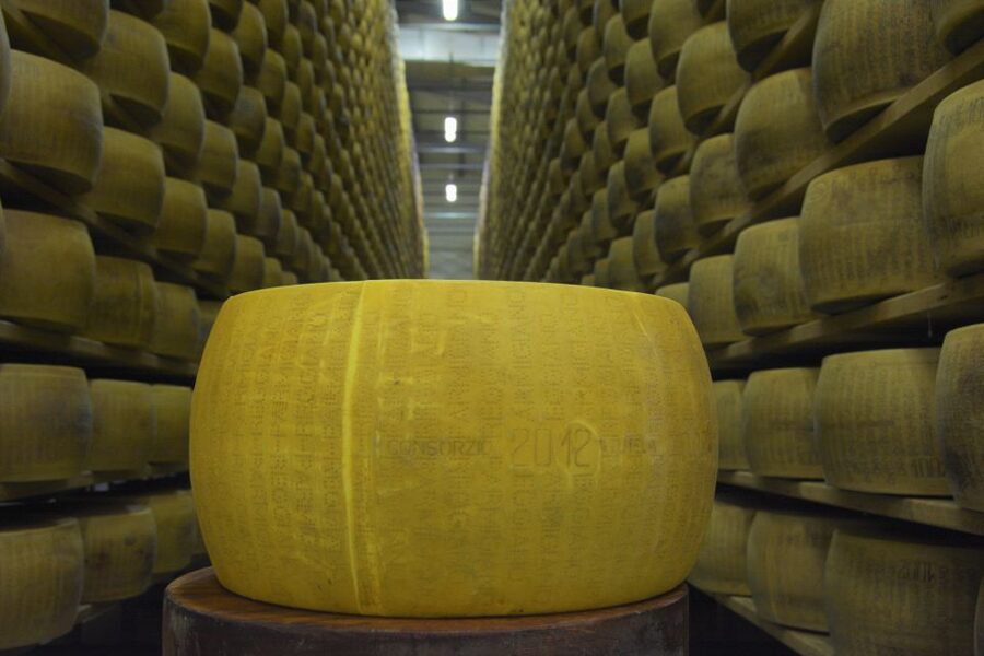 Emila-Romagna: Parmigiano, Prosciutto, Wine & Balsamic Tour - Parmigiano Reggiano at Cooperativa San Silvestro