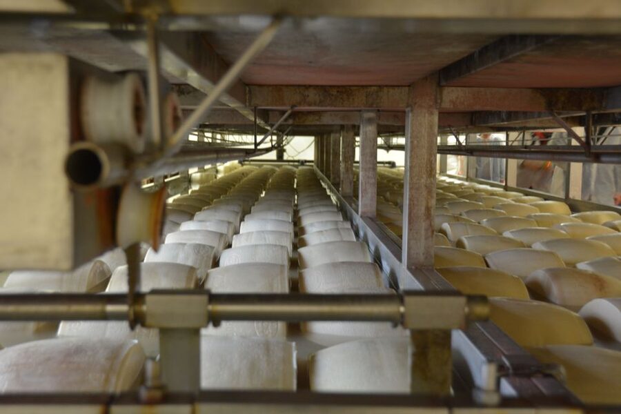 Emila-Romagna: Parmigiano, Prosciutto, Wine & Balsamic Tour - Lambrusco at the Winery