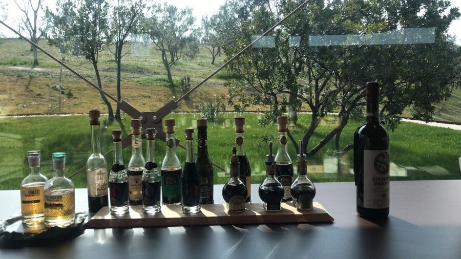 Emila-Romagna: Parmigiano, Prosciutto, Wine & Balsamic Tour - How to Pace a Full Day of Tastings