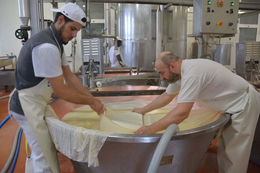 Emila-Romagna: Parmigiano, Prosciutto, Wine & Balsamic Tour - Who Should Book This Food Tour?