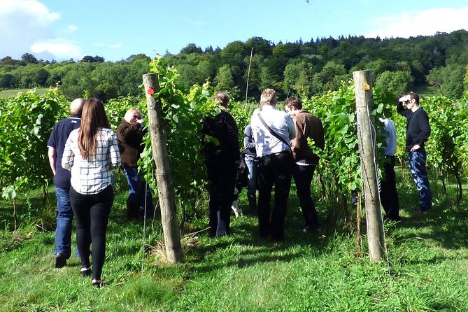 English Wine and Cheese Tour from London - Who will get the most from this day