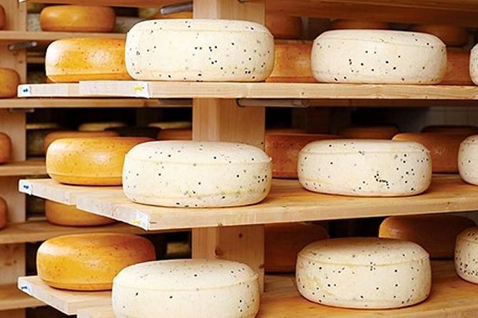 Ensenada Shore Excursion: Wine and Cheese Tour with Lunch in Ojos Negros Valley - Key points to know