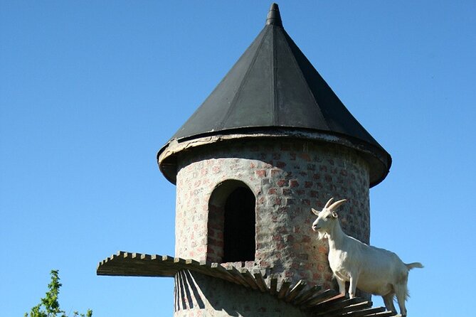 Experience 16 Wine Tasting & 6 Cheese Pairing across 3 Vineyards - Why the scenery matters as much as the wine
