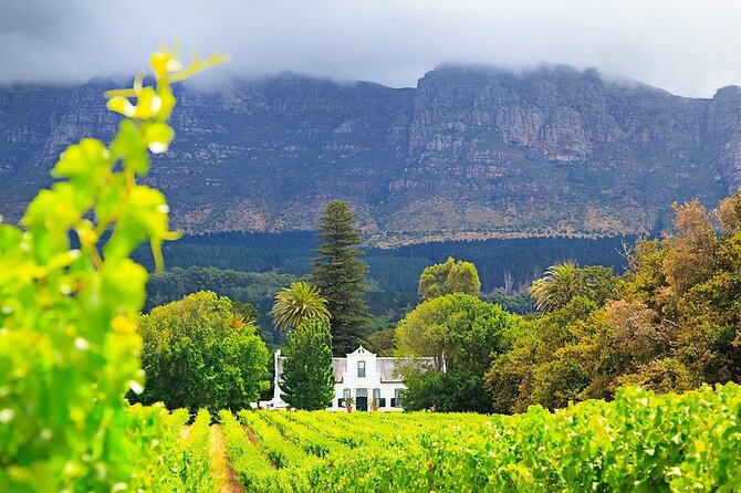 Experience 16 Wine Tasting & 6 Cheese Pairing across 3 Vineyards - Who will get the most from this experience