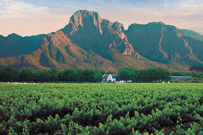 Experience 16 Wine Tasting & 6 Cheese Pairing across 3 Vineyards - Practical timing and booking advice