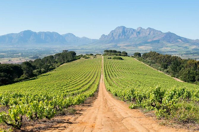 Experience 16 Wine Tasting & 6 Cheese Pairing across 3 Vineyards - Lanzerac: wine, gardens, and Cape heritage