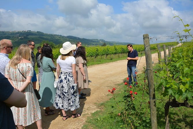 Experience Chianti & Cheese w/ 3 wineries & dairy visit—max 8 pp - Three wineries give you a useful comparison