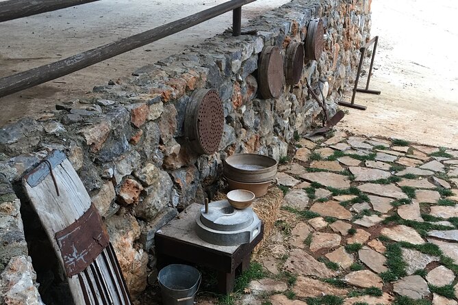 Explore Shepherd’s Hut and Cheese Making Process - Honey, raki, and the first taste of Crete