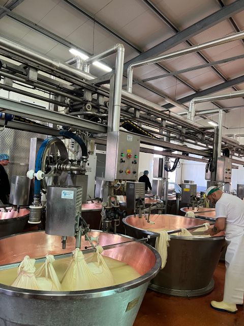 Ferrari Museum, Parmesan Cheese, Balsamic Vinegar Food Tour - Timing, comfort, and practical limits