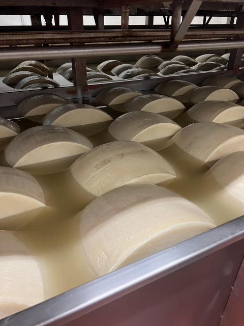 Ferrari Museum, Parmesan Cheese, Balsamic Vinegar Food Tour - Leaving Bologna for the dairy