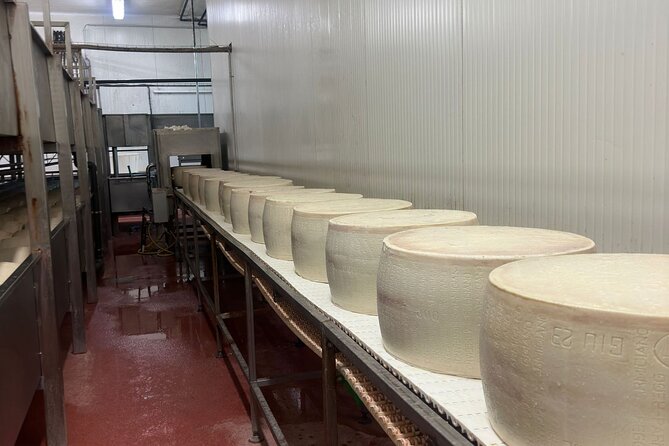 Ferrari, Parmesan and Balsamic Day Tour from Bologna - Who will enjoy this day most?
