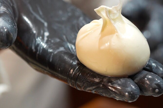 Florence: Mozzarella Cheese Making with Wine and food Tastings - Organic and conventional wines side by side
