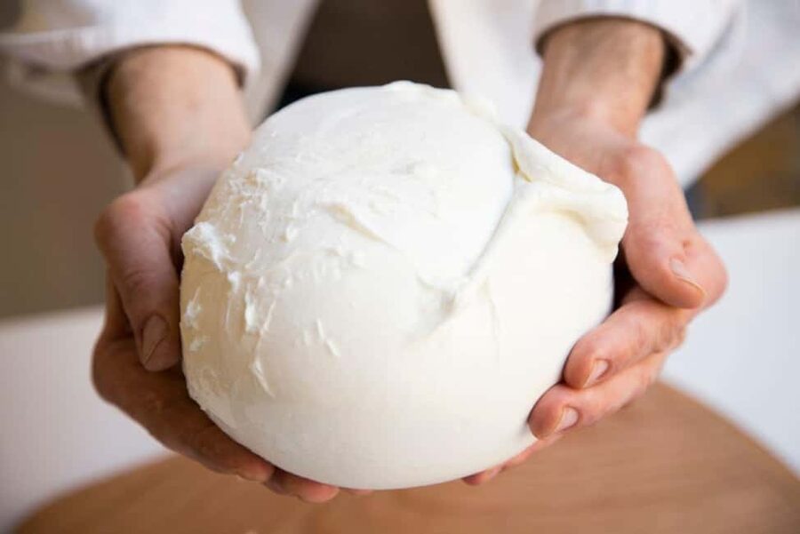 Florence: Mozzarella Making Workshop with Wine Tasting - What makes this Florence cheese class special